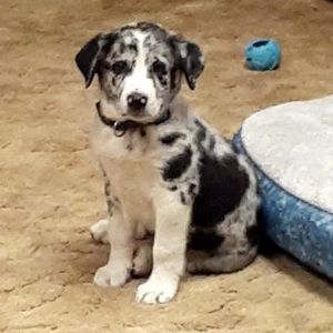 Meet your Posher, Janelle